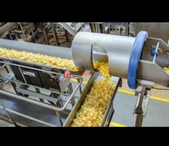 9.Sebeta 6000 m2 Snack/chips Processing manufacturing factory