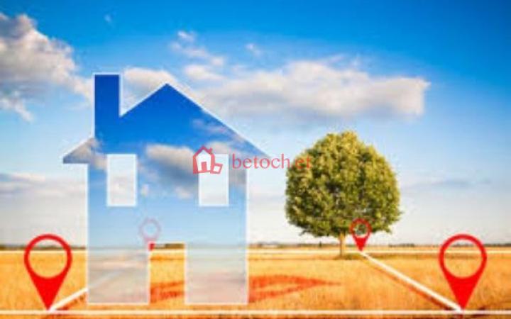 Taffo CCD 300 m² A Vacant Plot or land