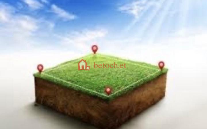 Tafo 500 m² Tekle haimanot Open Space land