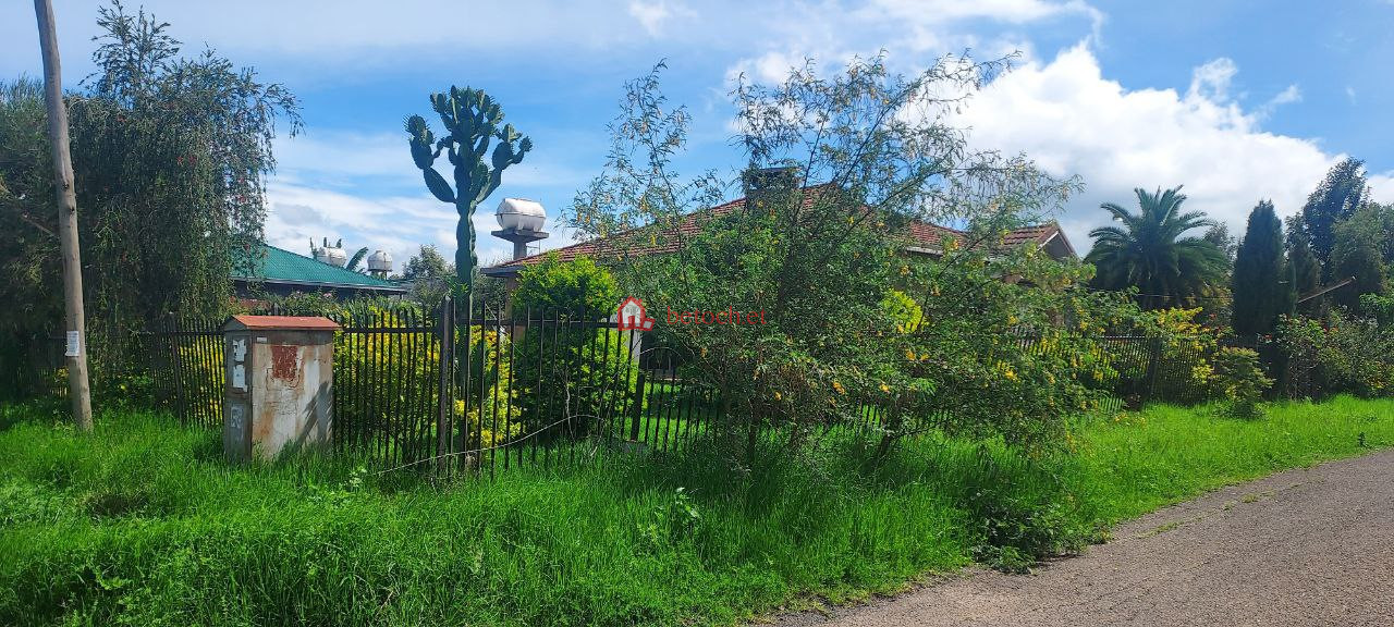 Tafo Sheger 1000 m2 Villa House