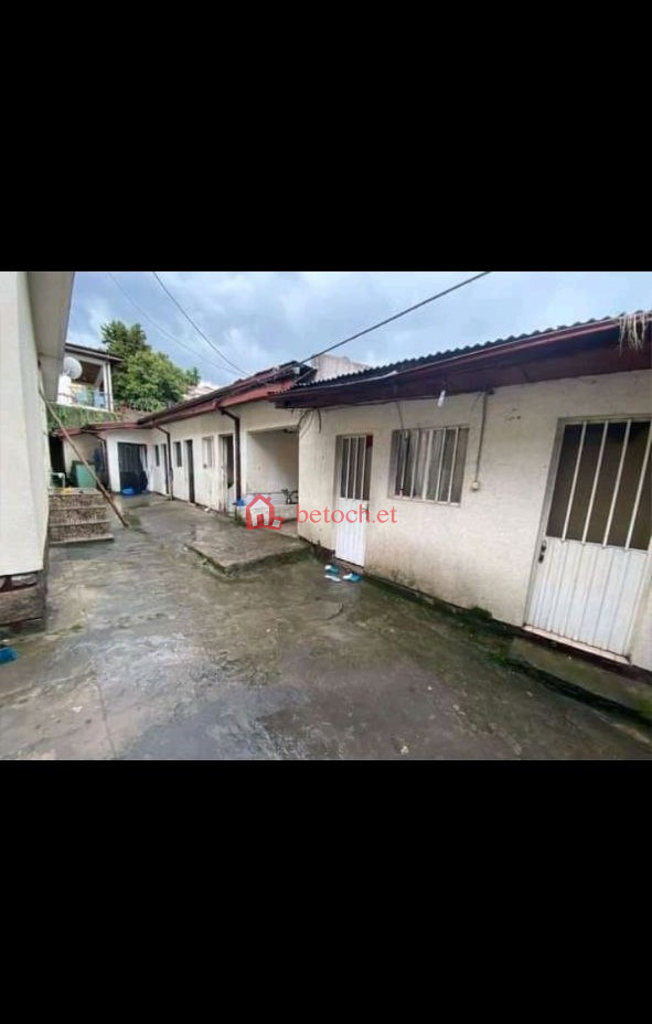 3.Properties rent price Bole 500 m² Residence Villa House