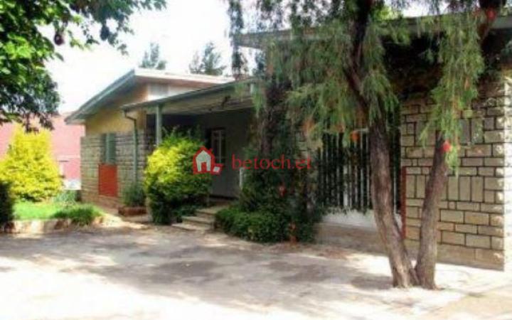 11.Bole Stadium 500 m² Villa House
