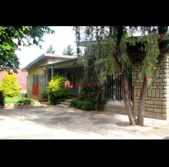 11.Bole Stadium 500 m² Villa House