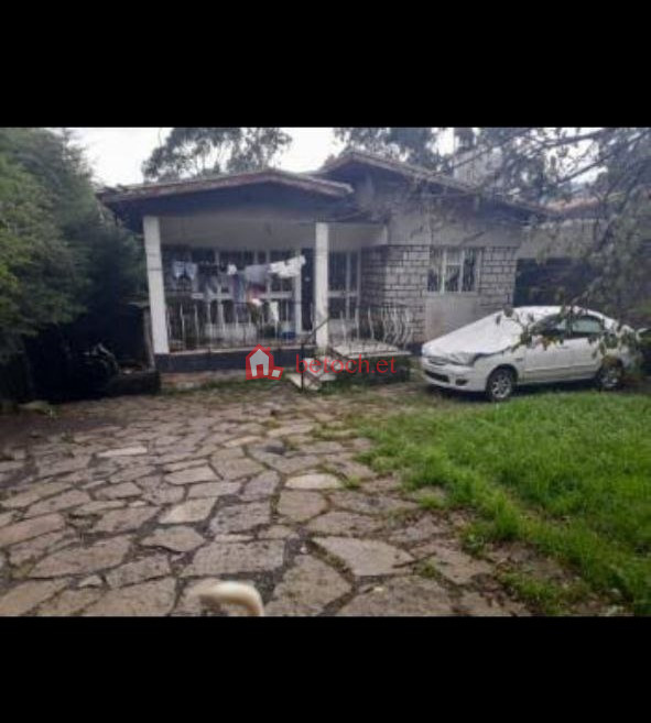 218.General Winget 517 m² (600 m² Extra) Villa House