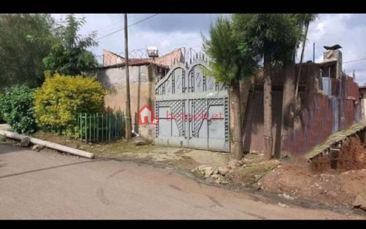 229.4Killo Sanford 350 m² ( 72 m² Extra included) Villa House