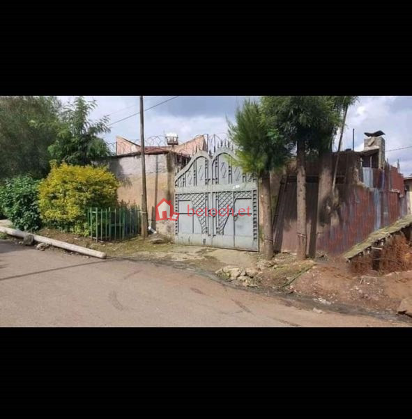 229.4Killo Sanford 350 m² ( 72 m² Extra included) Villa House