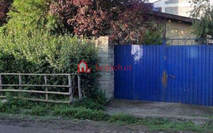 124.Villa House for sale Mekanisa 211 m² Residence House