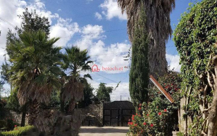 113.22 Mazoria signal 1350 m² Residence Villa House