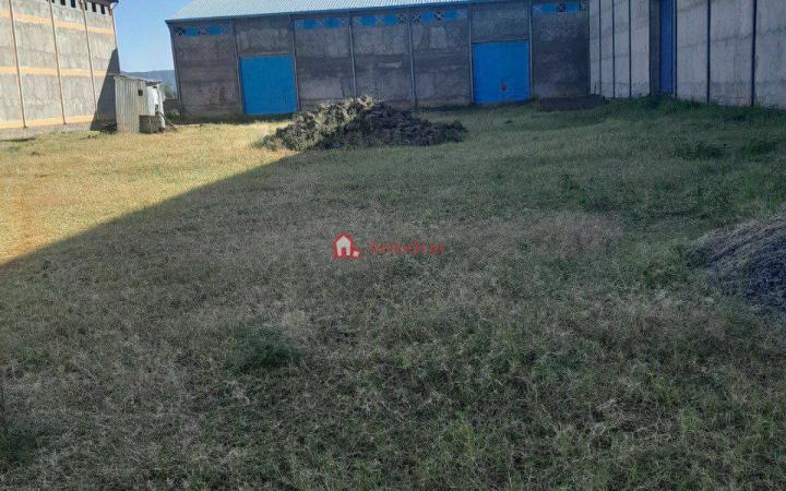 Bair Dar 60000 M² Manufacturing Were House𞥑Store with ban k loan